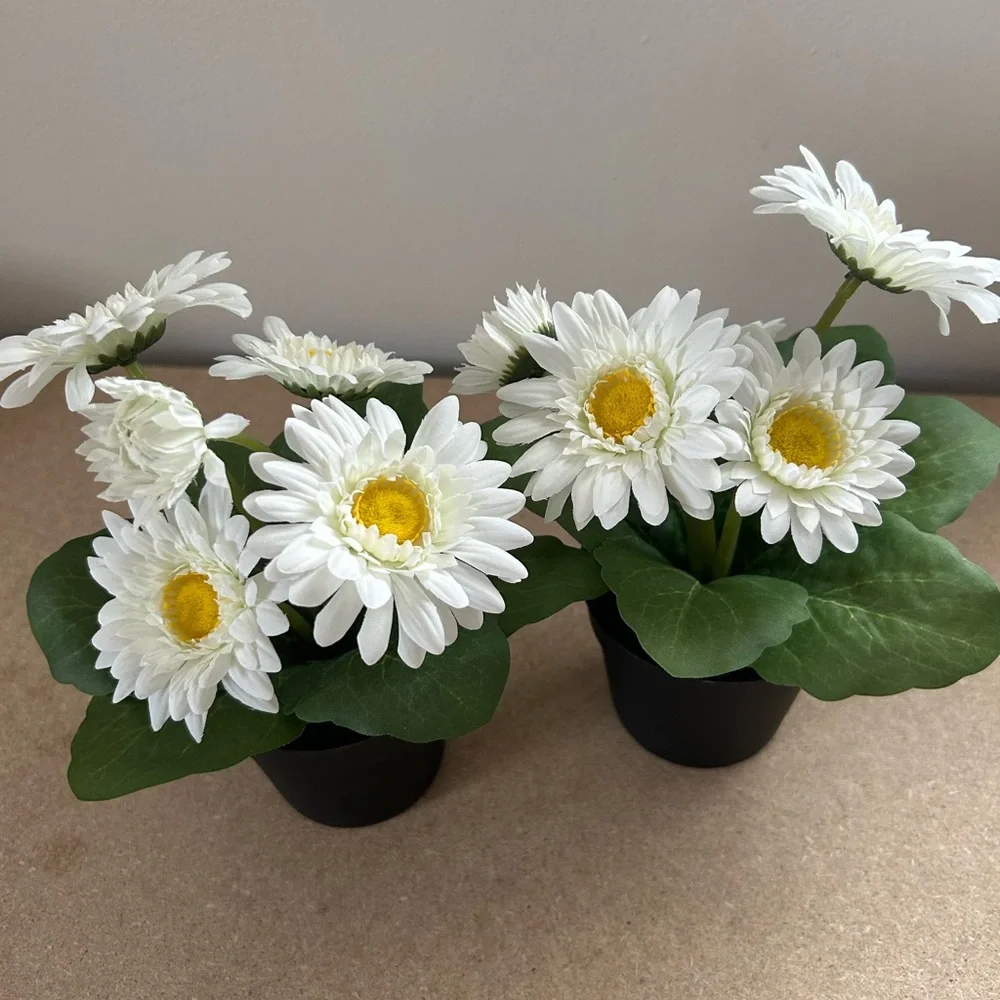 IKEA Faux White Daisy in Black Pot Set of 2